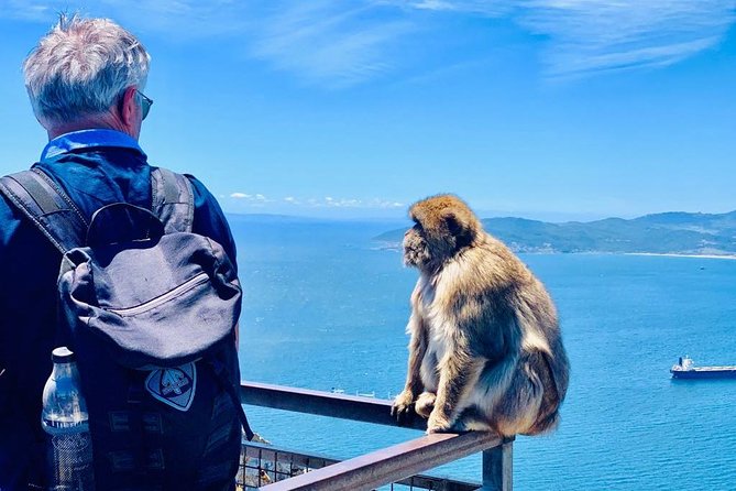 Tours of Gibraltar - STANDARD TOUR
