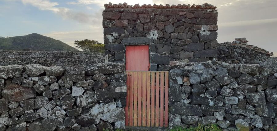 Tours on Pico Island – Cultural and Natural Landscape