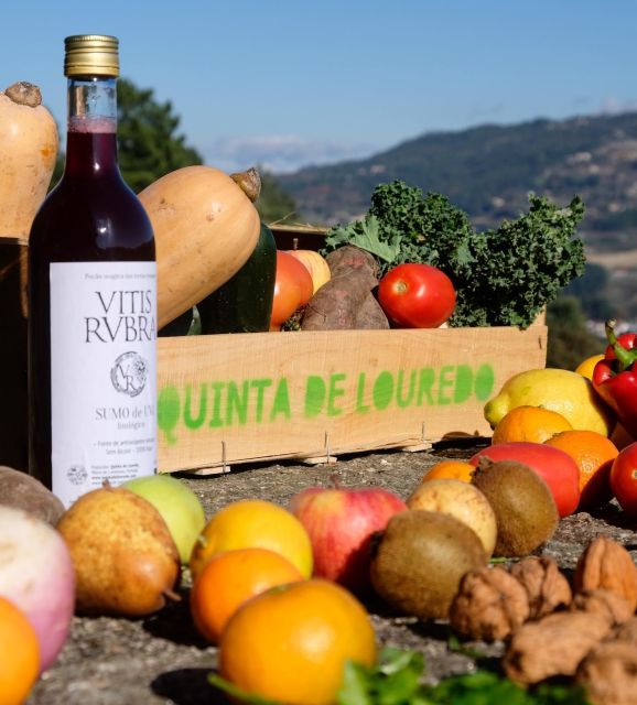 2 Best Tours In Freixo