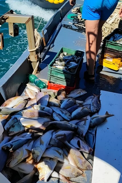 Traditional Fishing & Fish Picnic