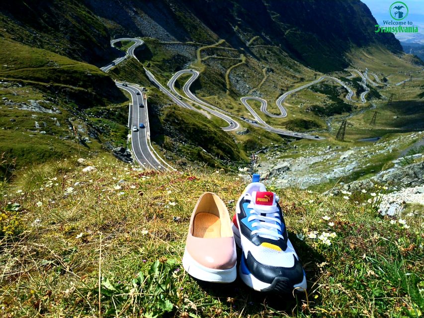 Transfagarasan Amazing Road Trip🐻 From Brasov