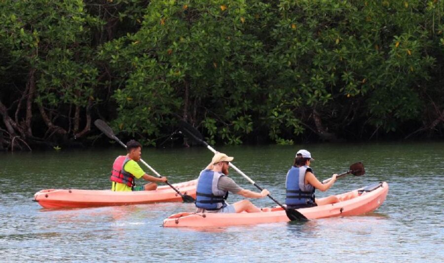 Treasure Bay Bintan Island Resort: 1-Day Entry Ticket