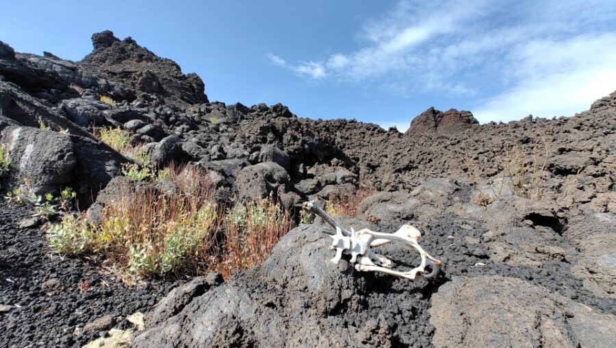 Trekking to Bottoniera Craters