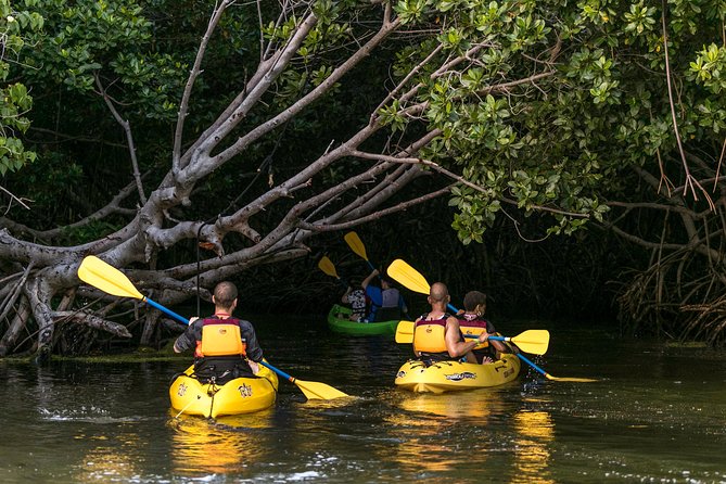 Trio Tour: El Yunque, Luquillo Beach, and Bio Bay Night Kayaking