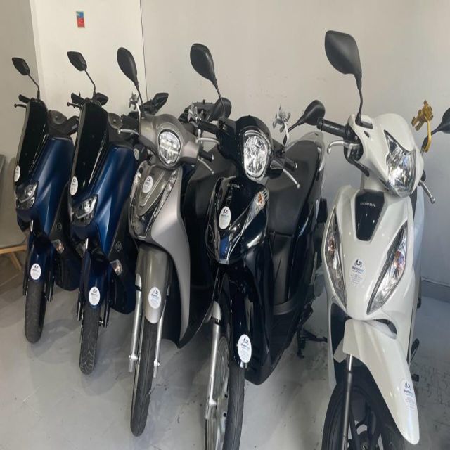 Trip Around Lisbon and Its Surroundings by Scooter - Activity Overview