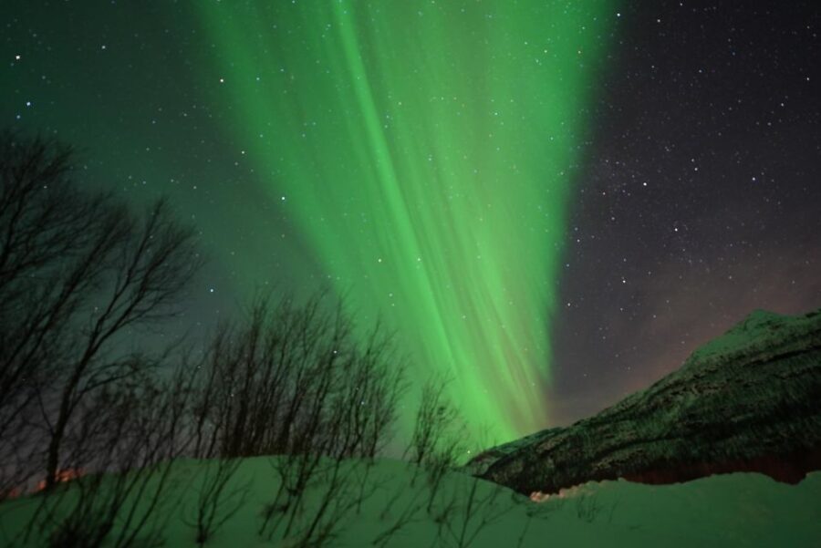 Tromsø: Guided Tours to See the Northern Lights: