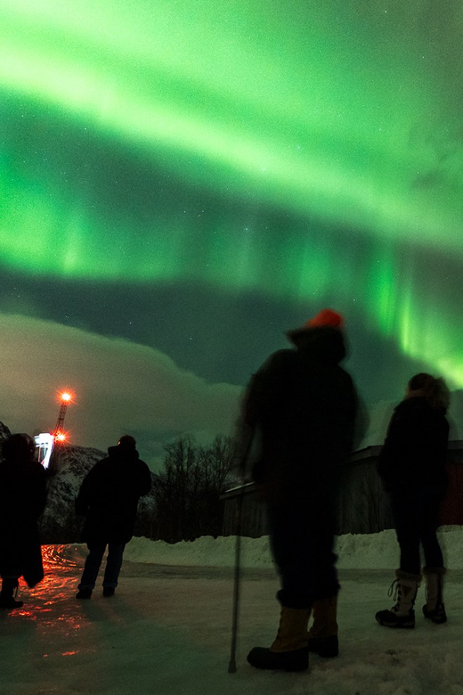Tromsø Northern Lights - Private Group Tour With Local Guide - Tour Overview and Pricing
