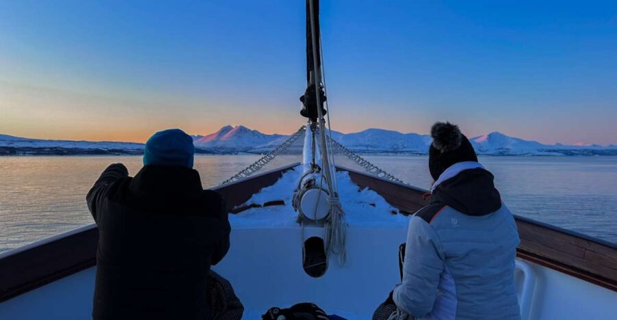 Tromsø: Polar Fjord Cruise on a Luxury Yacht With Lunch