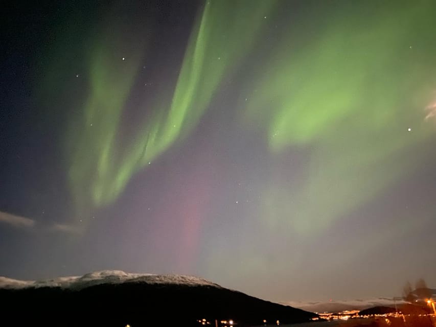 Tromsø: Private or Semi-private Northern Lights Tour - Tour Overview