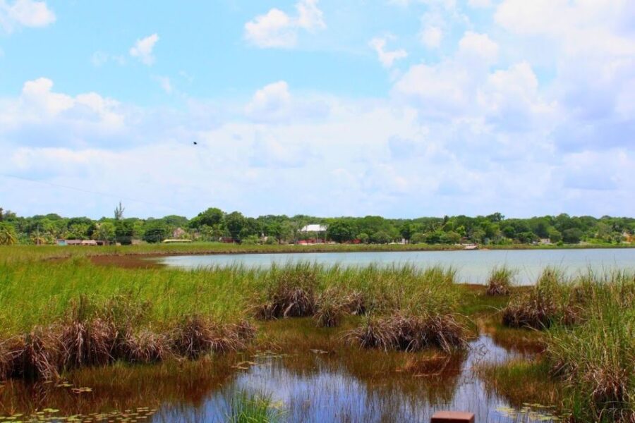 Try: Mayan Ruins and Cenote Tour From Riviera Maya