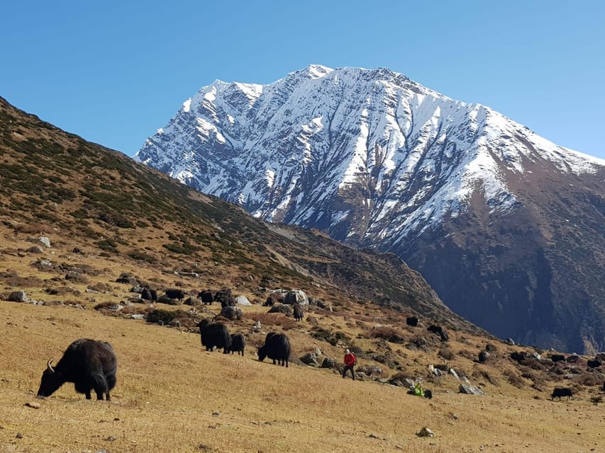 Tsum Valley Trek in Nepal - 14 Days