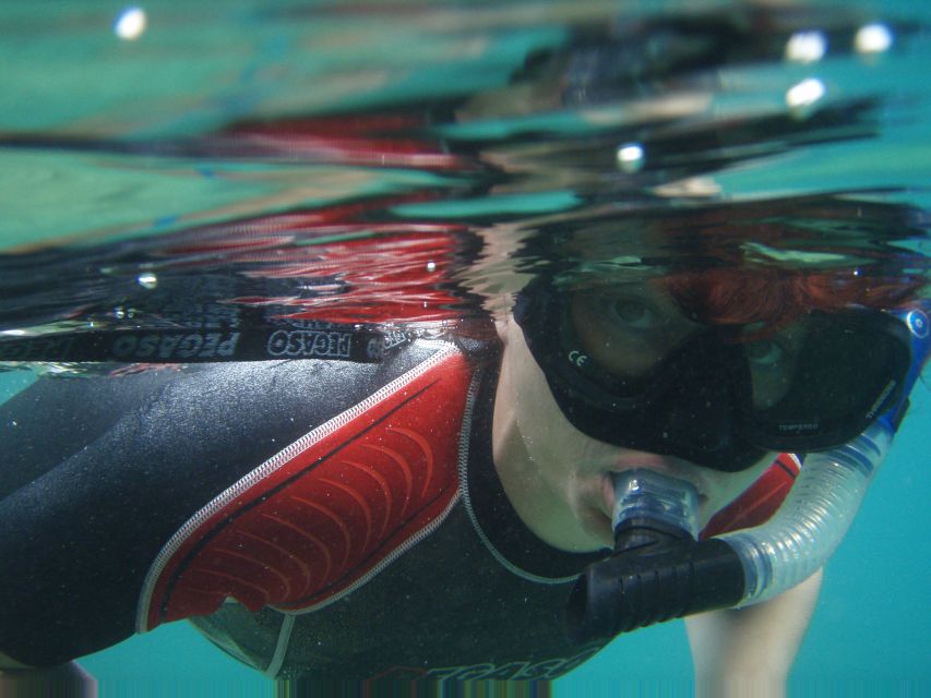 Tucepi: Snorkeling Boat Tour at the Makarska Riviera