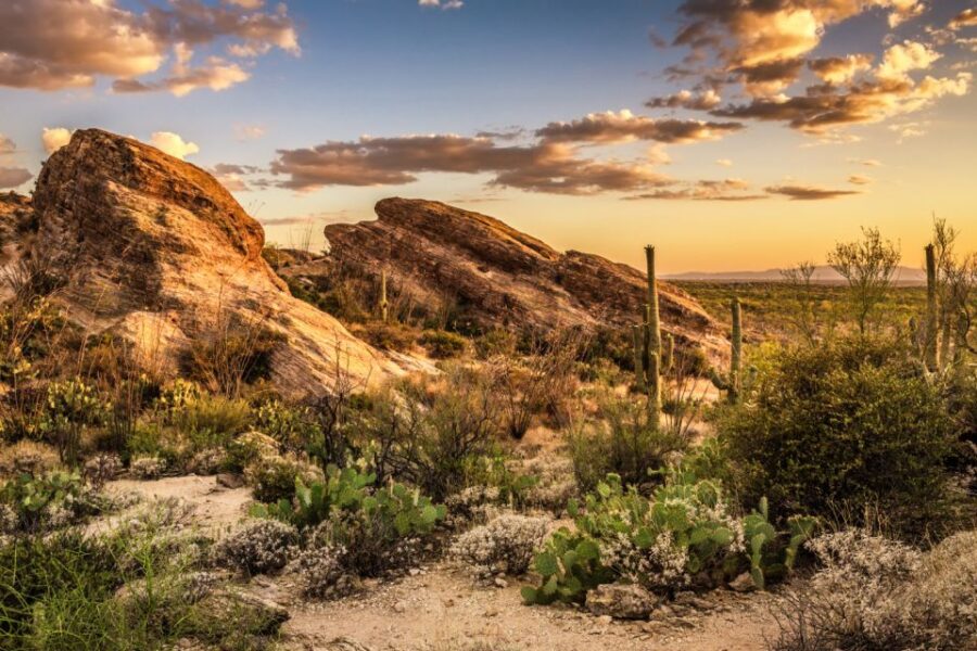 Tucson: Mt Lemmon & Saguaro NP Self-Guided Bundle Tour