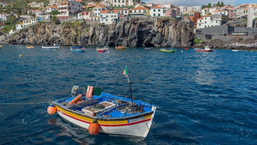 Tuk Tuk Wine Tour - Madeira Island