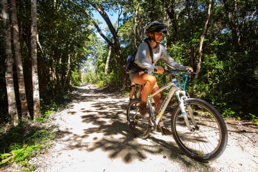 Tulum: Cenote Trail Bike Tour - Tour Overview & Pricing