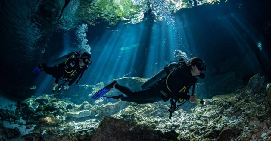 Tulum : Dos Ojos Cenote 2 Scuba Dives (Certified Divers) - Activity Overview