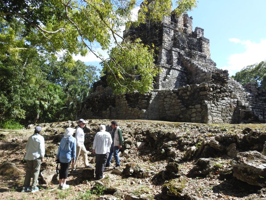 2 Best Guided Tours In Quintana Roo