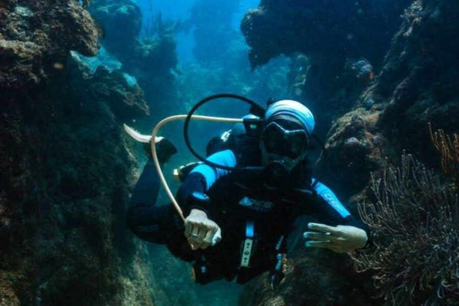 Tulum: Try Scuba Diving Adventure - Activity Overview