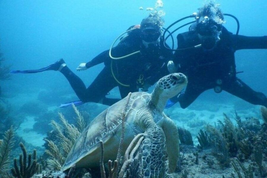 Tulum: Wonders of the Underwater World Discover Scuba Diving - Tour Overview
