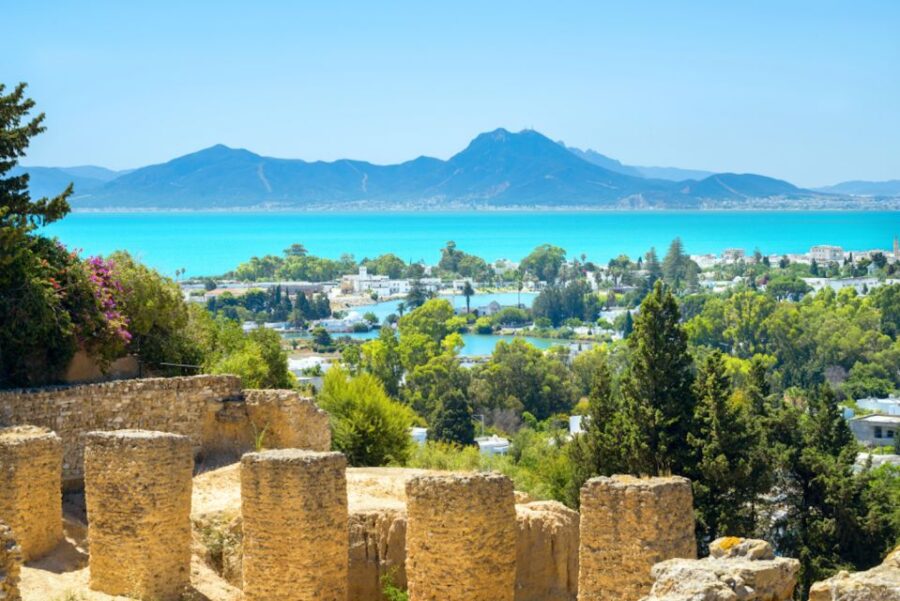 Tunis: Full-Day Sightseeing Tour With Lunch