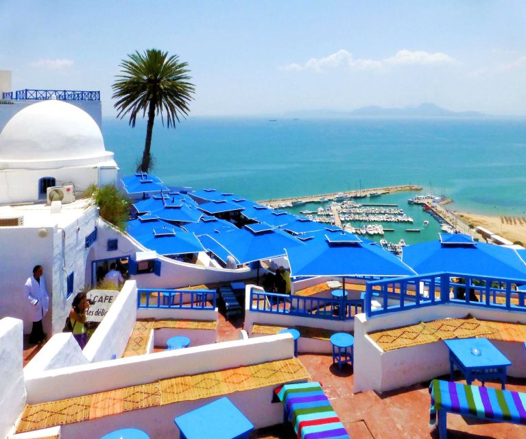 Tunis Governorate: Full-Day Tour - Overview of the Tour