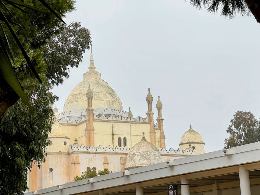 Tunis: Medina, Carthage, Sidi Bou Said, Bardo Private Tour