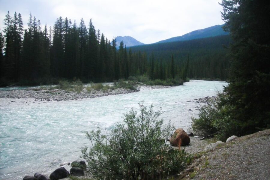 Tunnel Mountain Trail: Nature Tour With Audio Guide - Tour Overview