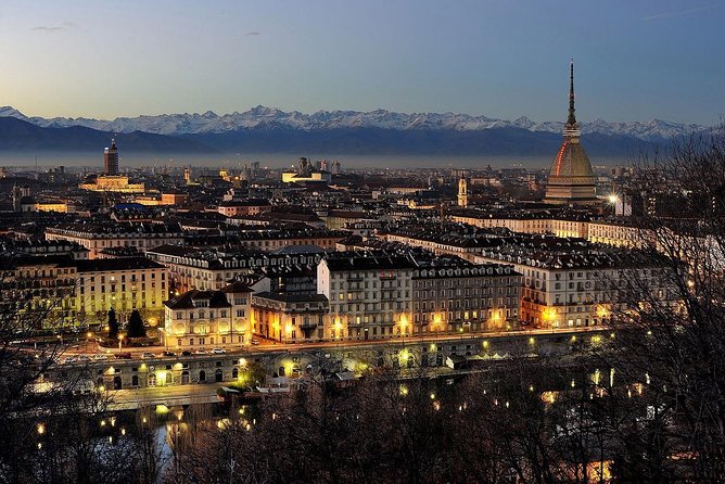 Turin Airport Private Arrival Transfer - Service Overview