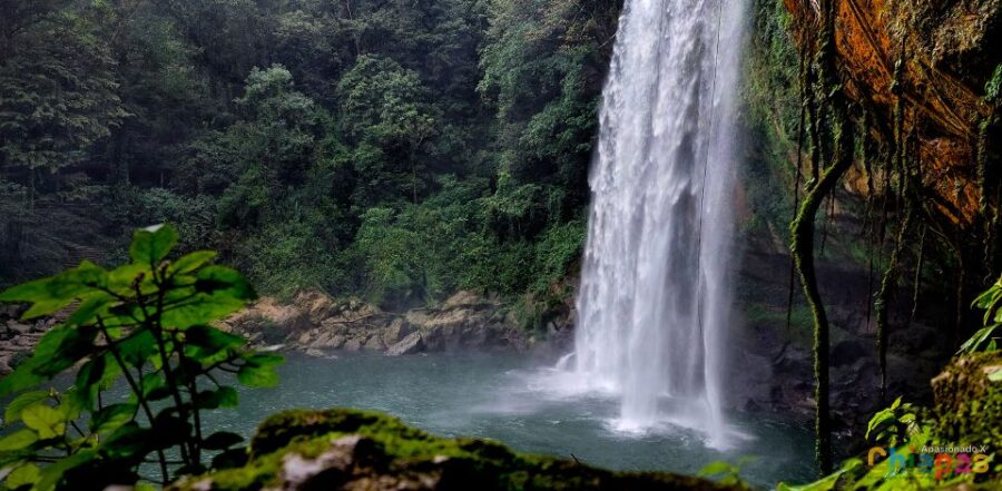 Tuxtla Gutierrez: Agua Azul, Misol Ha & Palenque Experience - Tour Overview