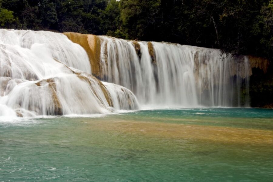 Tuxtla Gutierrez: Palenque Ruins Day Tour With Breakfast - Tour Overview