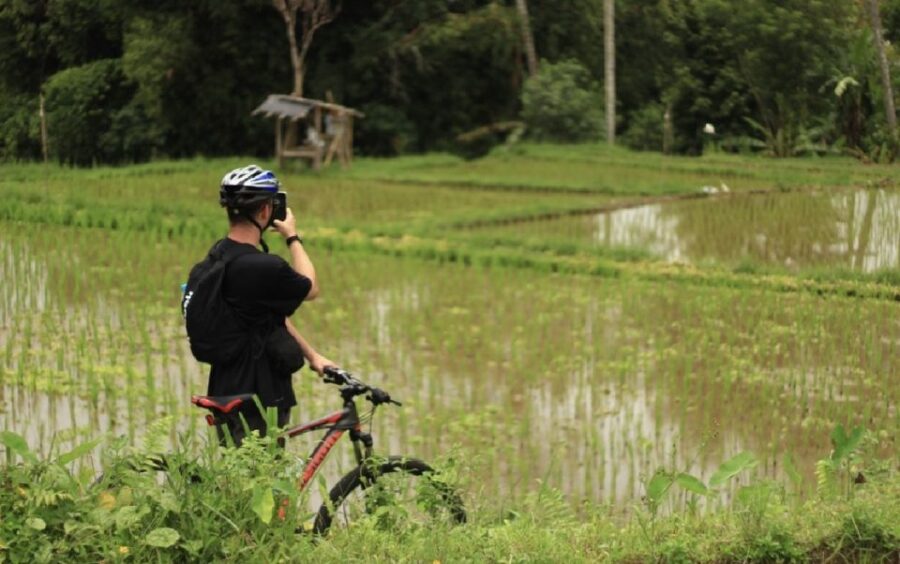 Ubud: Afternoon Cycling Tour With Photographer and Lunch - Tour Overview