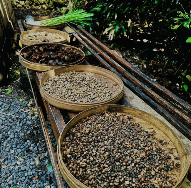 Ubud: Customised Private Full Day Tour With Personal Driver