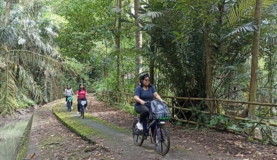 25 Best Tours In Nusa Dua