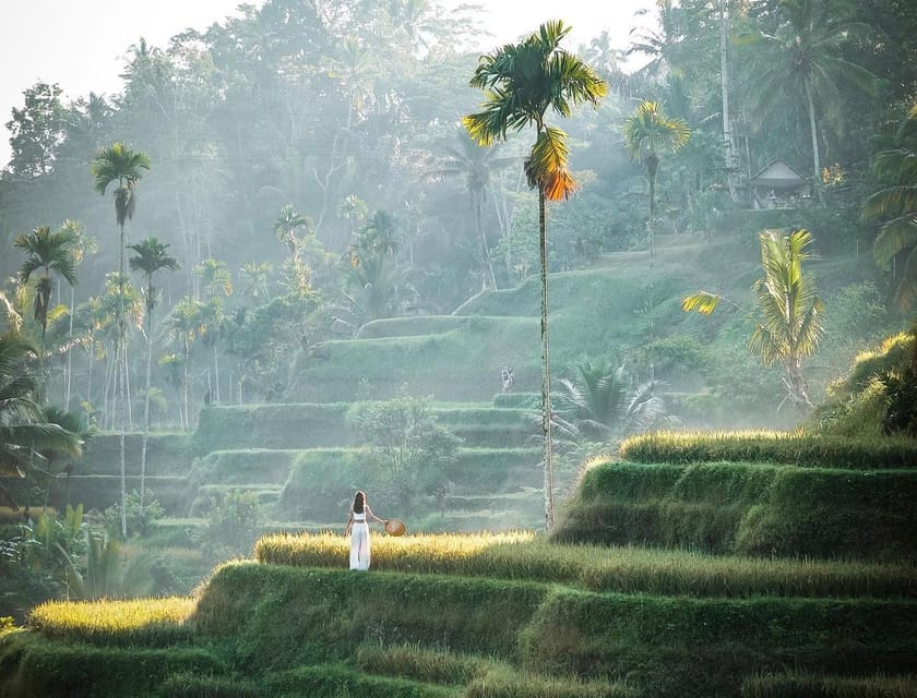 Ubud: Kanto Lampo, Tukad Cepung, Rice Terrace, Batuan Temple - Destination Overview