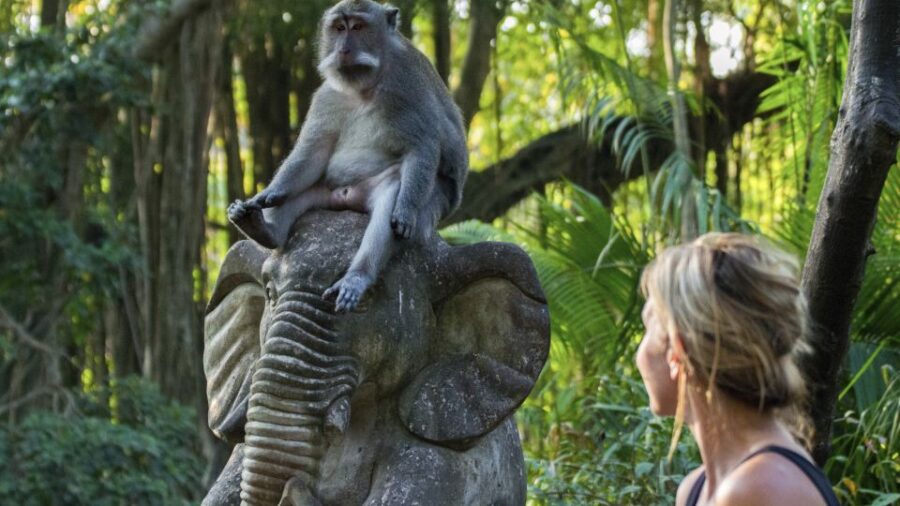 Ubud: Monkey Forest, Rice Terrace & Tanah Lot Private Tour