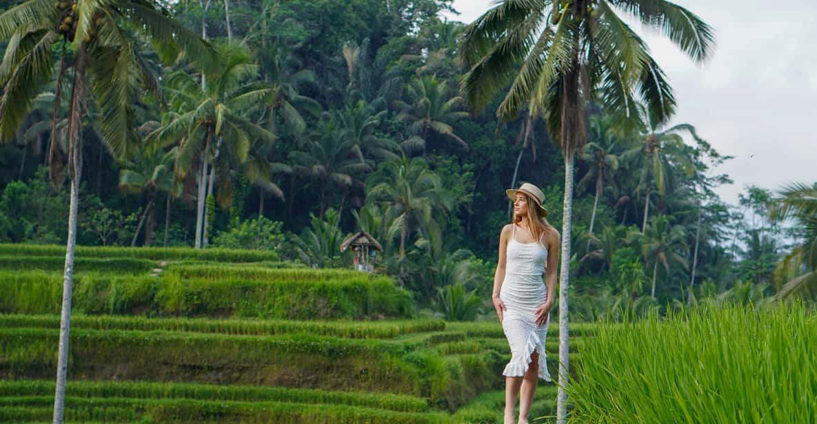 Ubud: Waterfalls, Rice Terrace And Swing With Photography