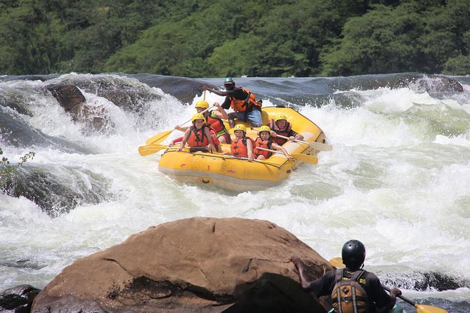 Uganda Gorillas and Game Safari – 10 Days