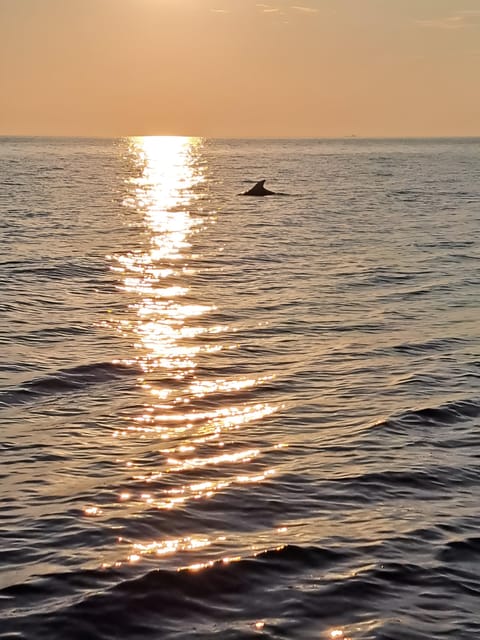 3 Best Tours In Umag