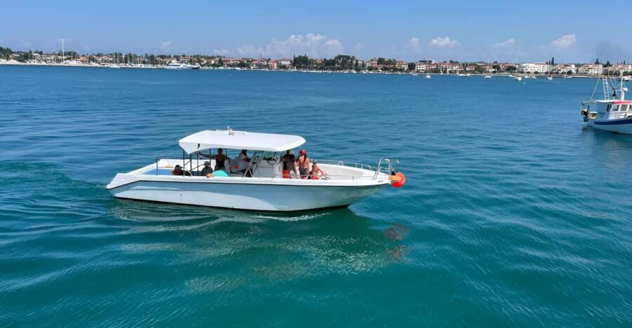 Umag: Snorkeling & Dolphinwatching Morning Boat Tour