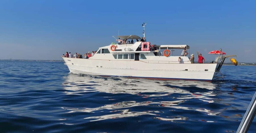 Umag: Swimming&Panorama / Welcome Drink and Dolphin Spotting