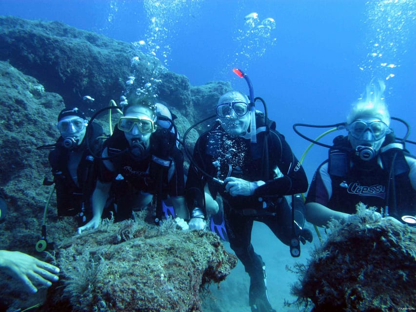 Unforgettable Diving Experience: From Beginners to Advanced