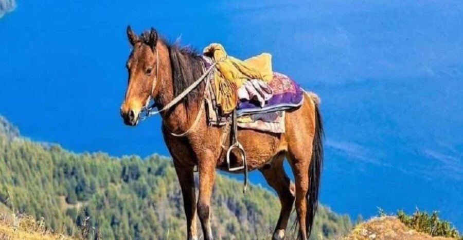 Unforgettable Horseback Riding Adventure Pokhara - Overview and Pricing