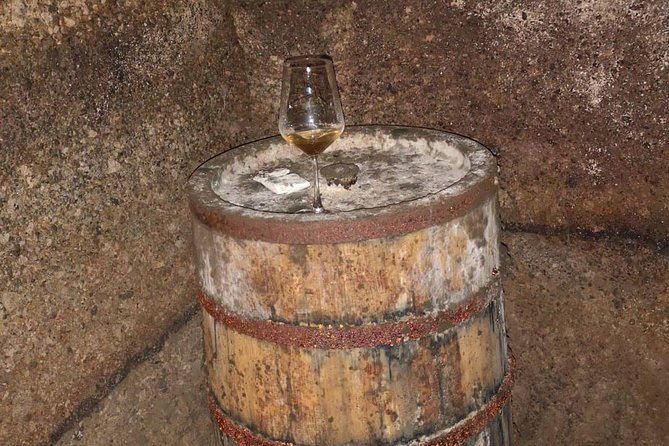 Unique Enobike Experience With Tasting in 2 Excellent Wineries - Itinerary and Inclusions
