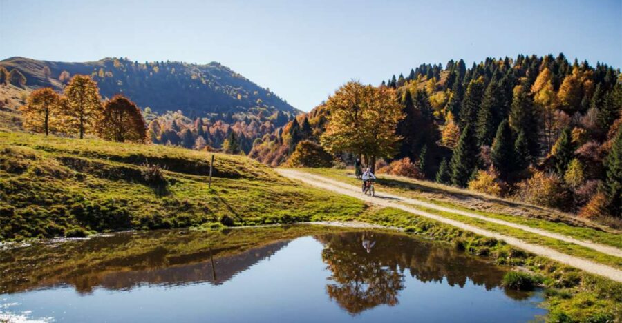 Valdobbiadene: Guided E-Bike Tour in Prosecco Hills - Tour Overview and Pricing