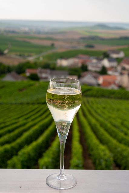 Valdobbiadene: Prosecco Private Tour & Taste With Sommelier - Tour Overview