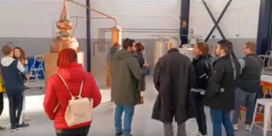 Valencia: Distillery Visit and Gin Tasting in Benifla
