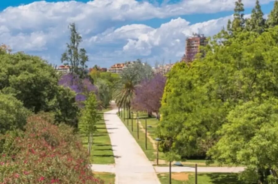 Valencia: Family Bike Tour; Walk Through Turia Gardens.