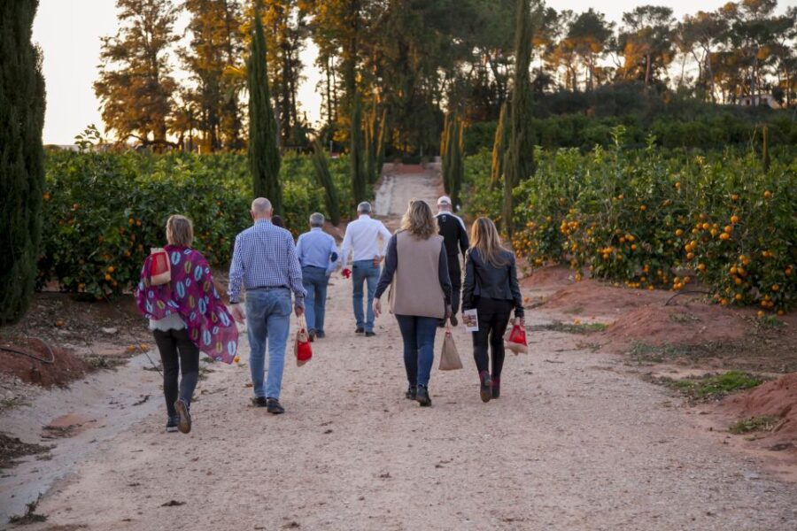 Valencia: Orange Farm and Orchard Trip With Tastings - Tour Overview