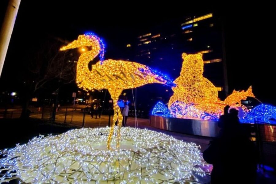 Vancouver Christmas Light Tour Private