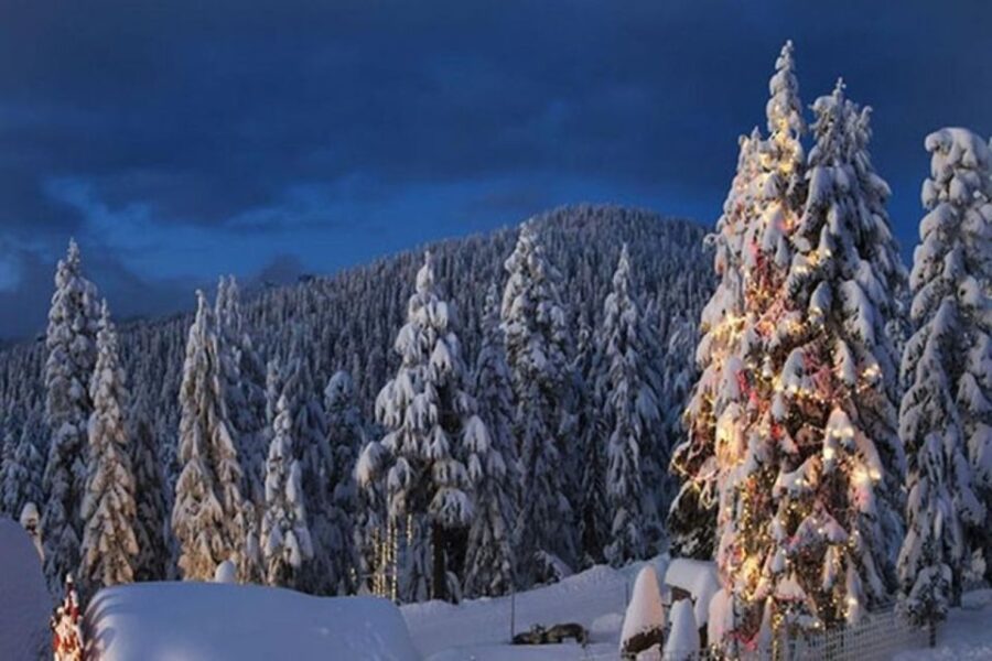 Vancouver, Grouse Mountain,Suspension & The Look Out Private